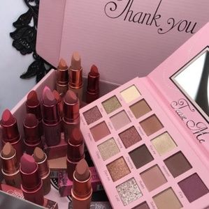 makeup pallete and 20 lipstick matte